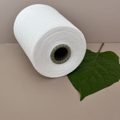 Niestandardowy 30S/2 Rayon Gorący 100% Wiskosowy Rayon Biały Spun 20S Farbowany 300D Ring Spun Yarn
